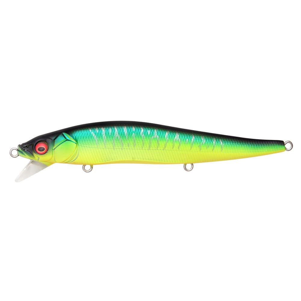 Megabass Vision ONETEN SR Matte Tiger lure front profile, ideal for shallow water retrieves.