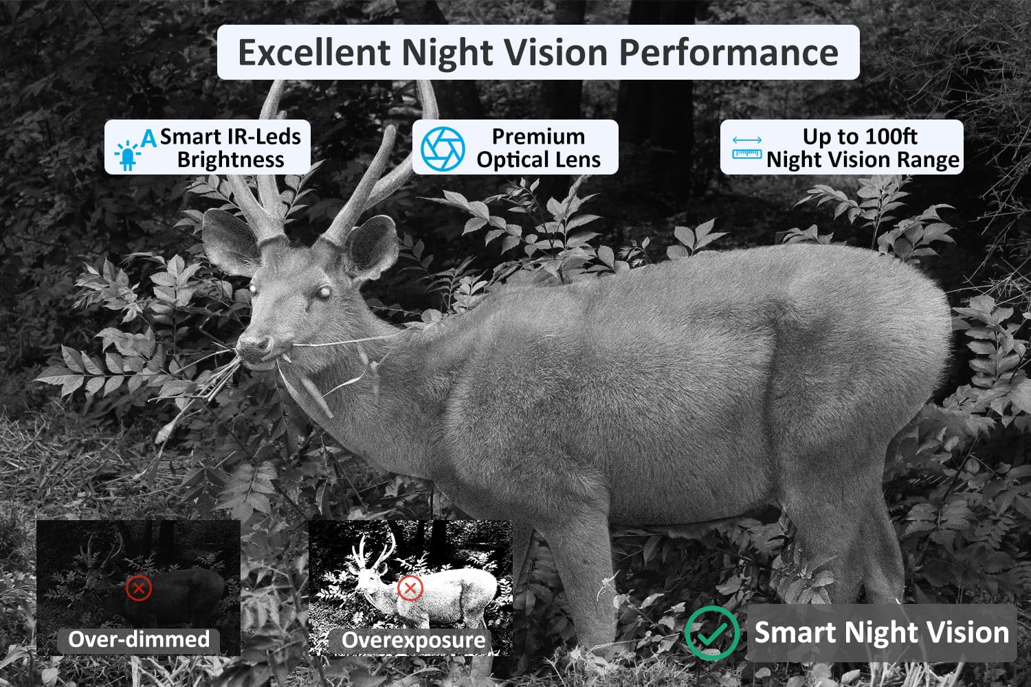 Meidase P100P app-view highlights quiet, mobile access to live footage and clips.
