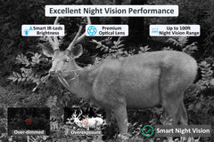 Meidase P100P app-view highlights quiet, mobile access to live footage and clips.