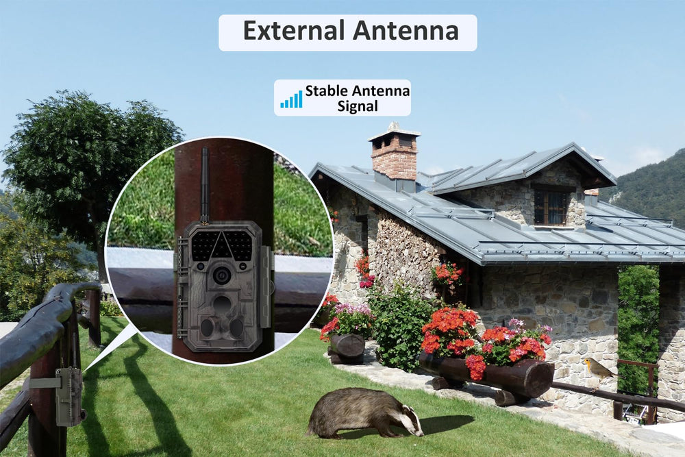 Meidase P100P with 0.1s trigger speed captures fast wildlife moments accurately.