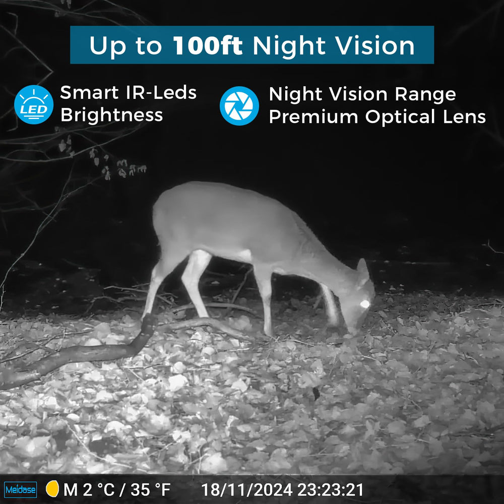 Meidase P200 48MP stills deliver sharp wildlife images
