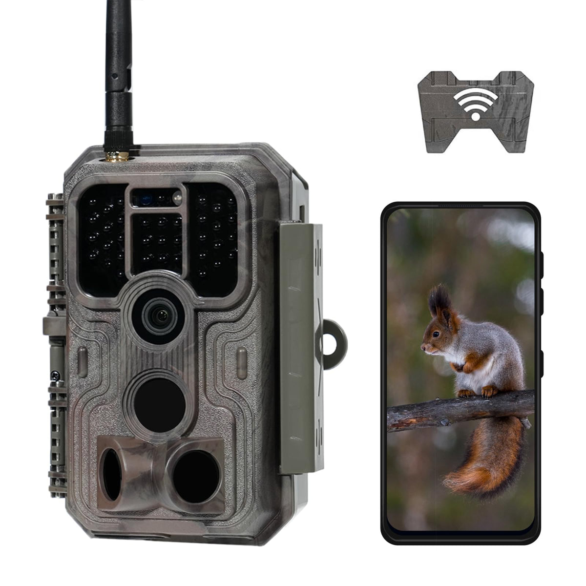 Meidase P200 front view camera for rugged wildlife monitoring