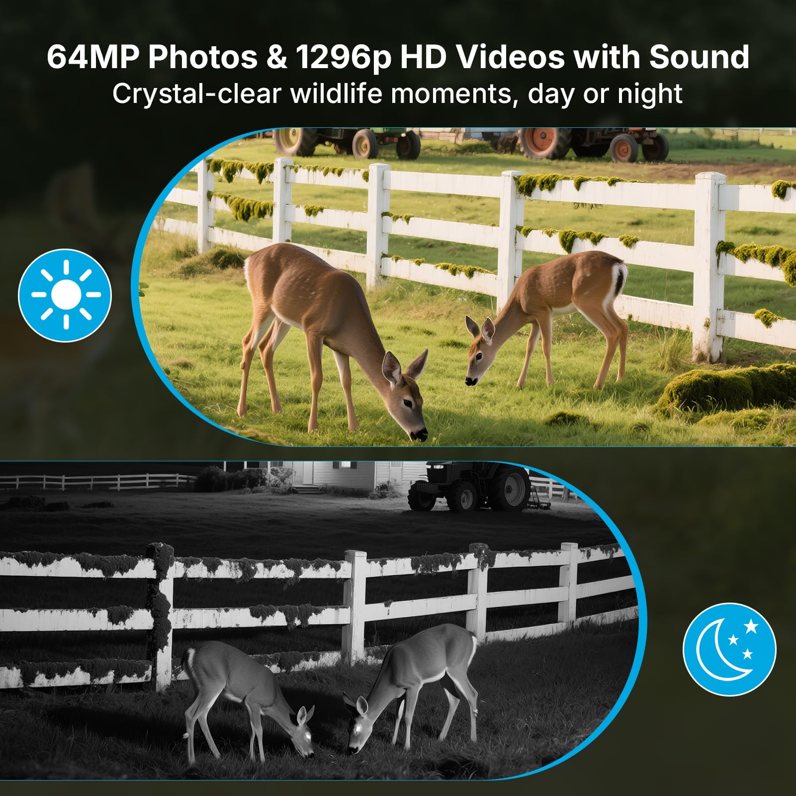 Meidase P300 64MP photos and 1296p video capture sharp wildlife details.