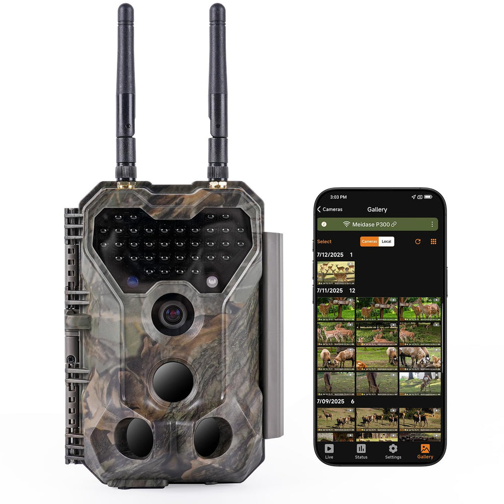 Meidase P300 dual antennas extend wireless range for remote wildlife monitoring.