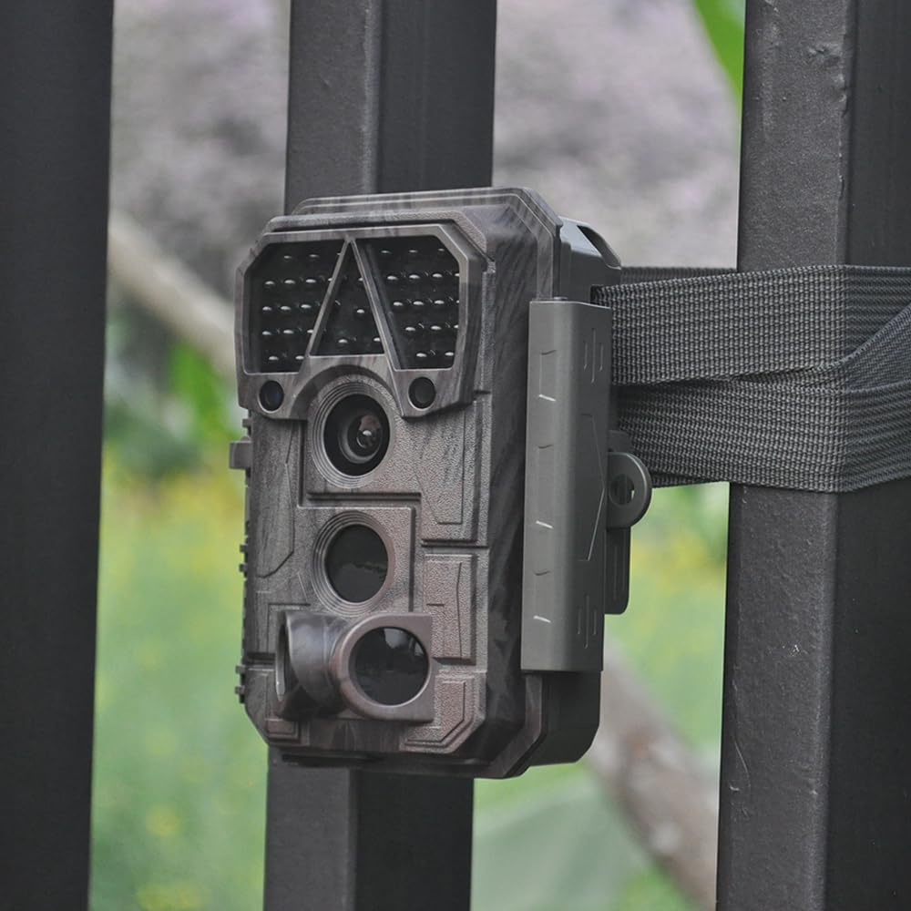 Meidase P70 64MP photos capture sharp wildlife detail for evidence and sharing.