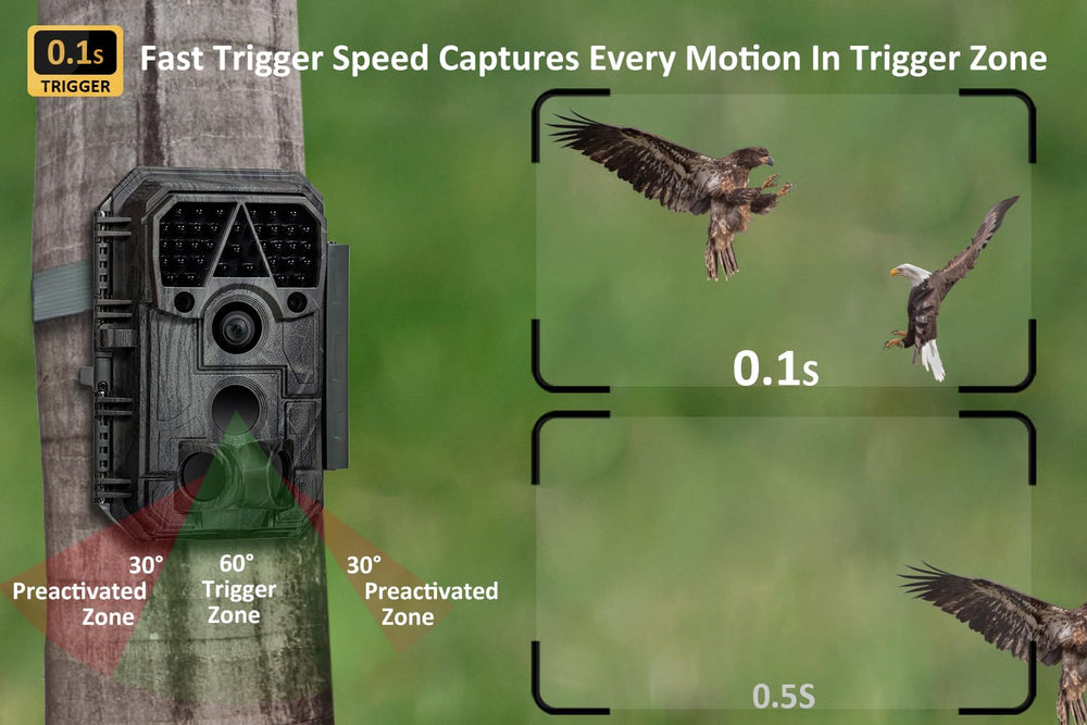 Meidase P70 trigger speed enables fast motion capture of running deer.