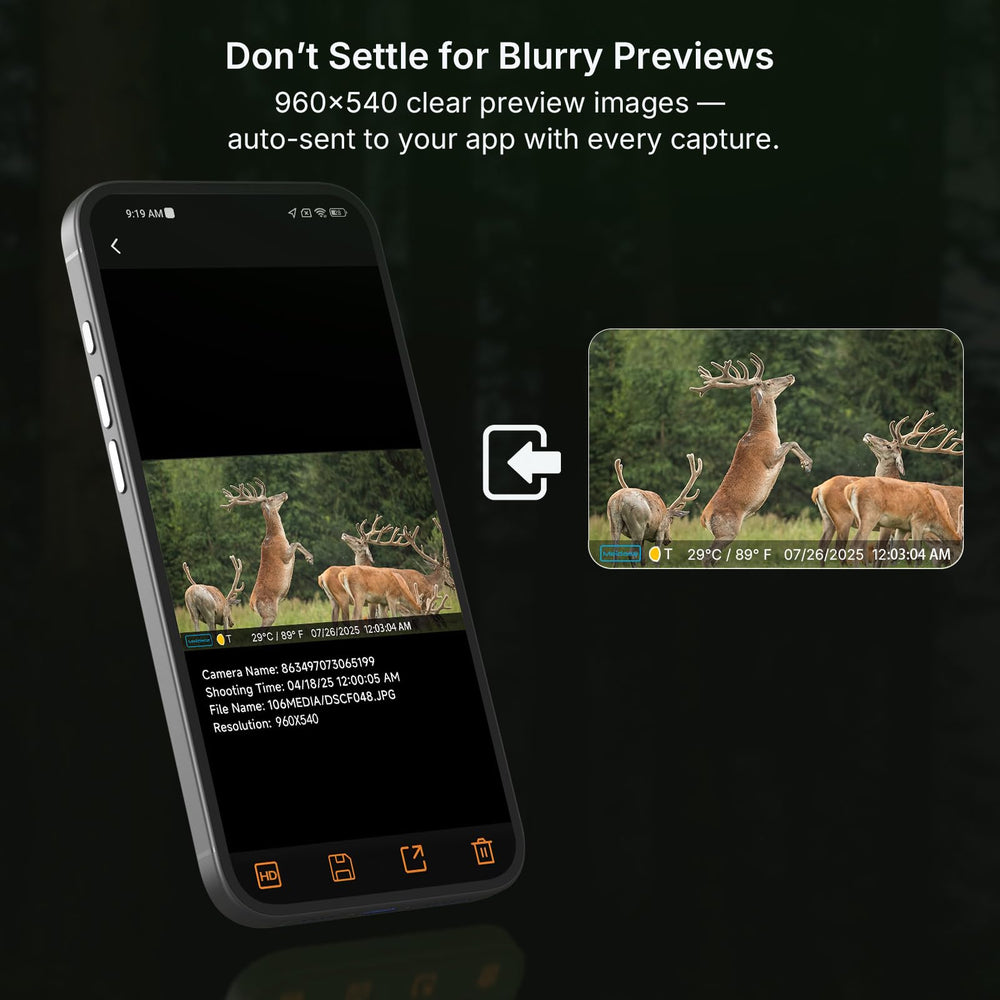 Meidase S950P 48MP photos capture sharp wildlife detail in daylight and dusk.