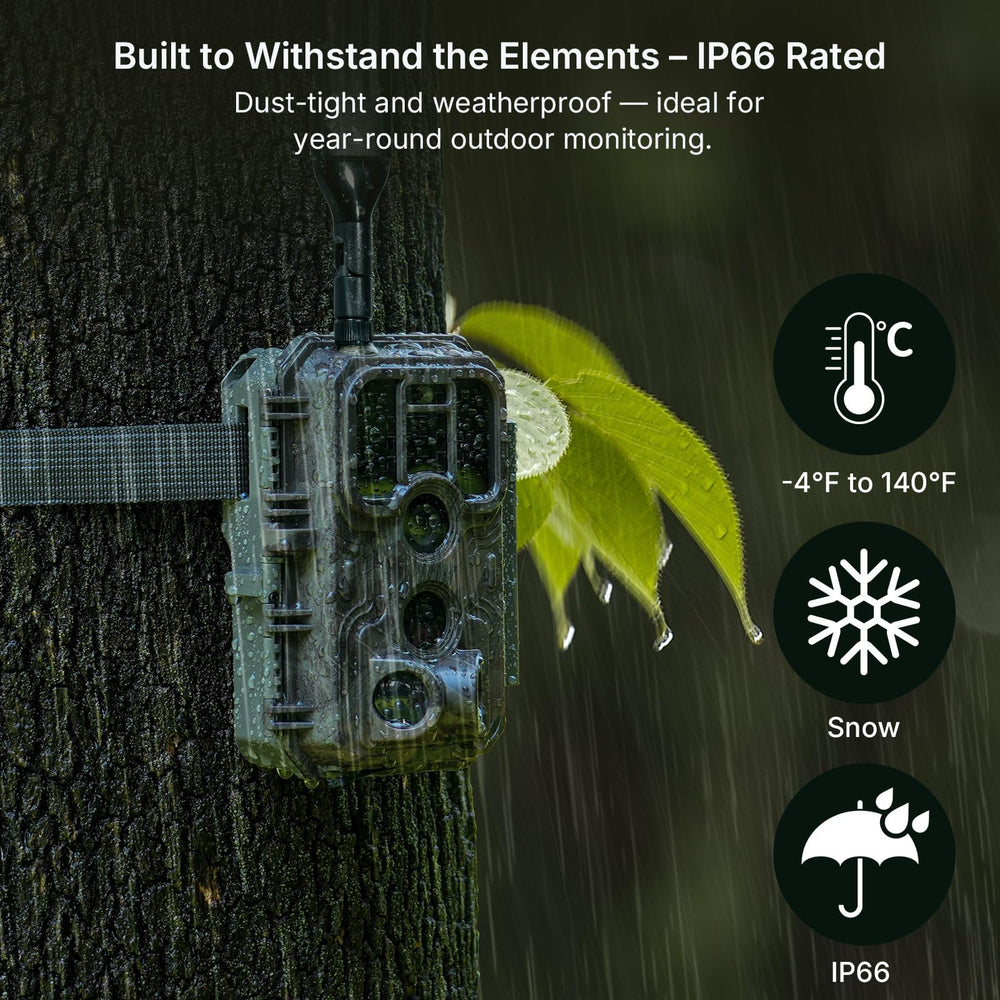 Meidase S950P app control-sharing enables easy camera access for teams and families.
