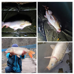 Meiliyizu cylinder foam float, buoyant and durable for steady bait presentation.