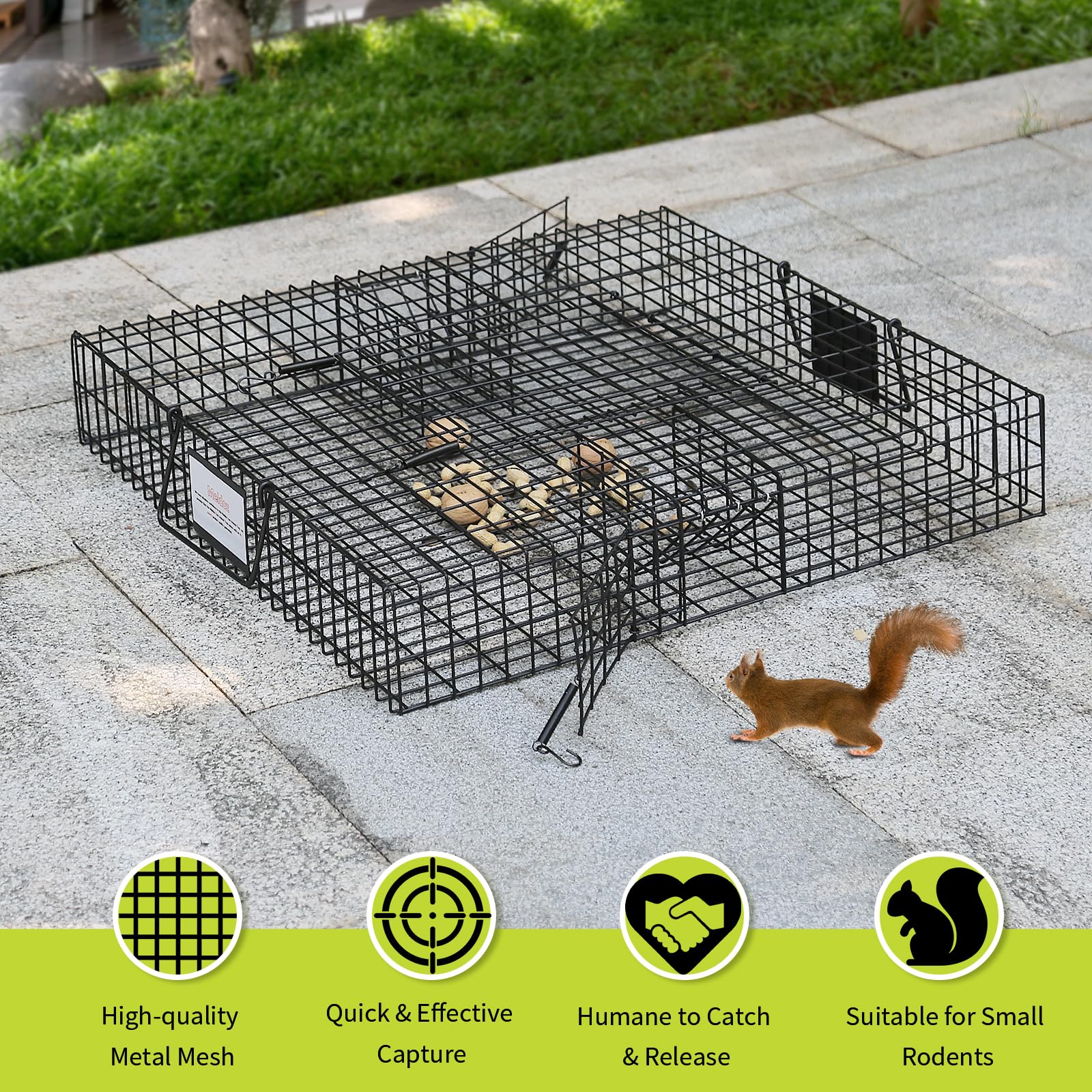 Meldoz Squirrelinator two-door design boosts capture potential