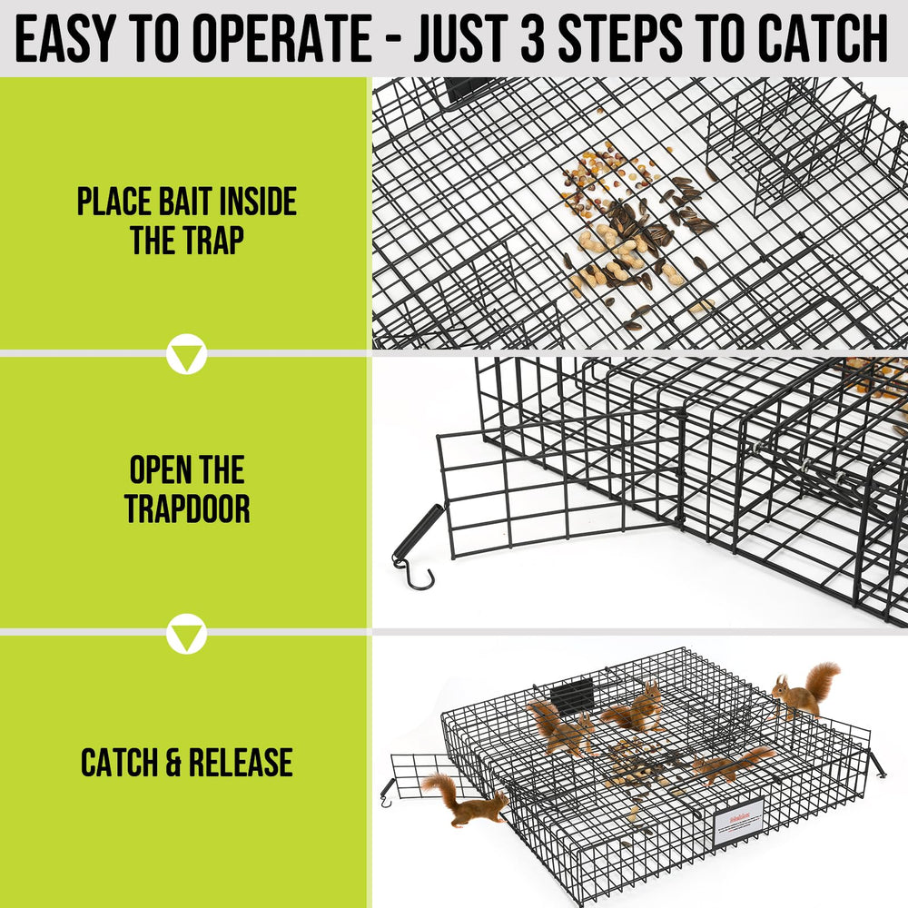 Meldoz Squirrelinator release area supports humane relocation