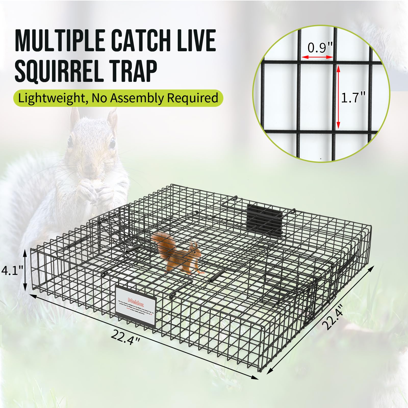 Meldoz Squirrelinator top lid open for easy release and check