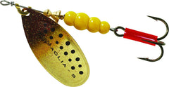 Mepps B5 BRT Aglia brown trout spinner in action for lakes and streams