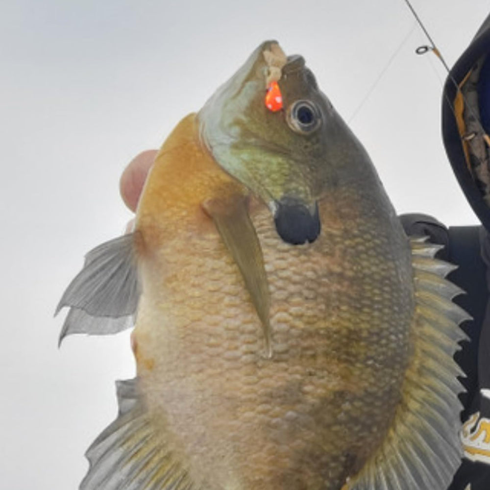 One pack includes 12 jigs, each color unique as pictured.