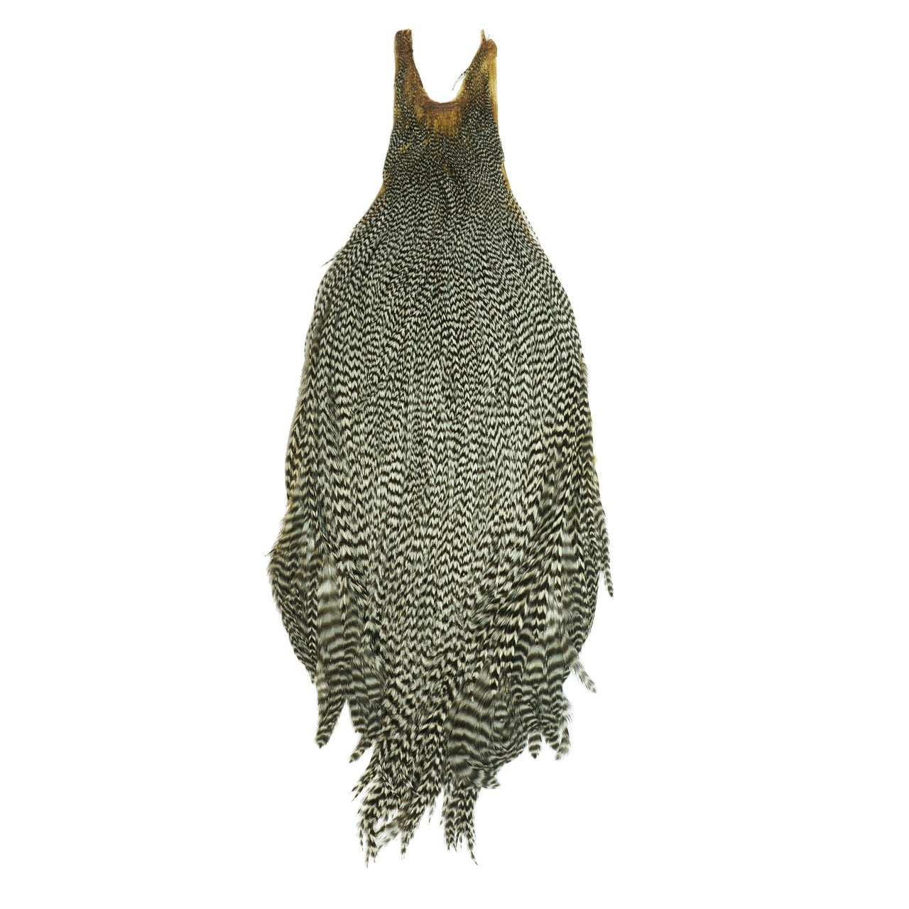 Metz Mets cock neck fly material in grizzly color for precise dry-fly presentation.