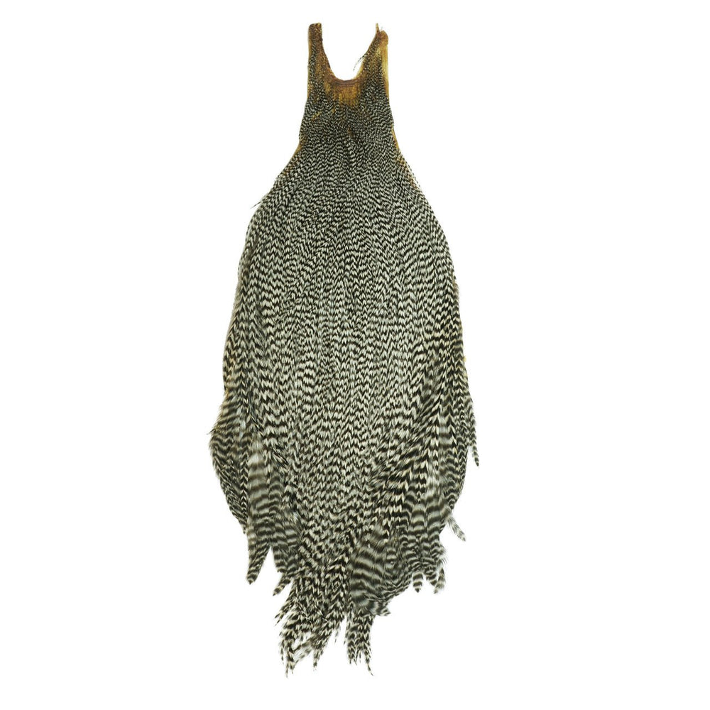 Metz Mets cock neck fly material in grizzly color for precise dry-fly presentation.