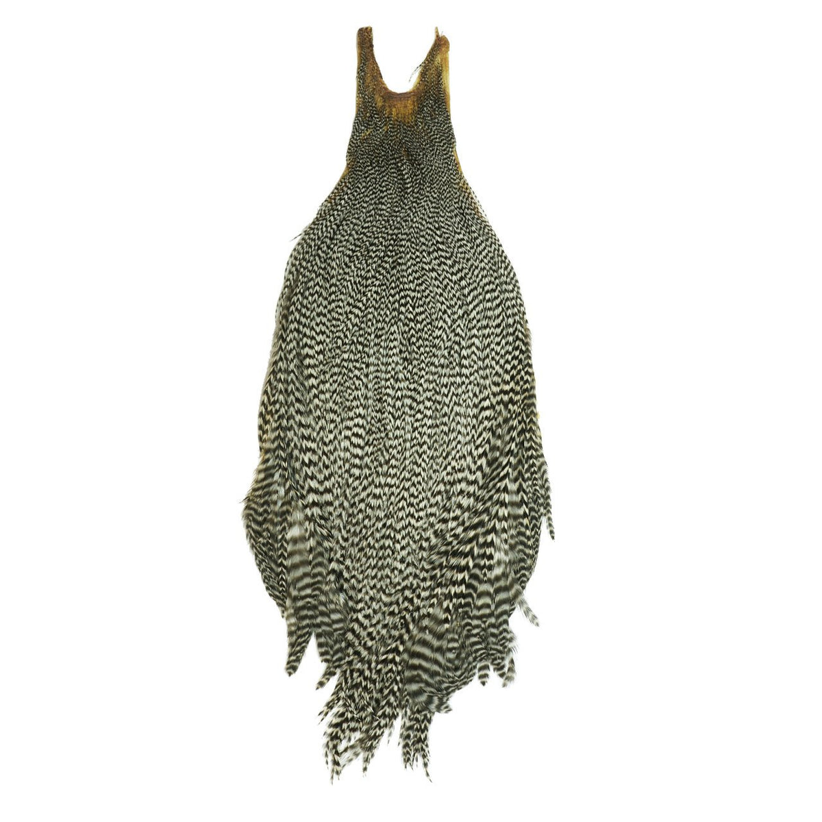Metz Mets cock neck fly material in grizzly color for precise dry-fly presentation.