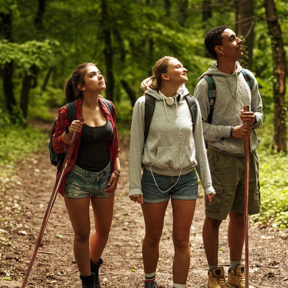 Mezchi outdoor hiking trail scene showing cedarwood walking sticks in use