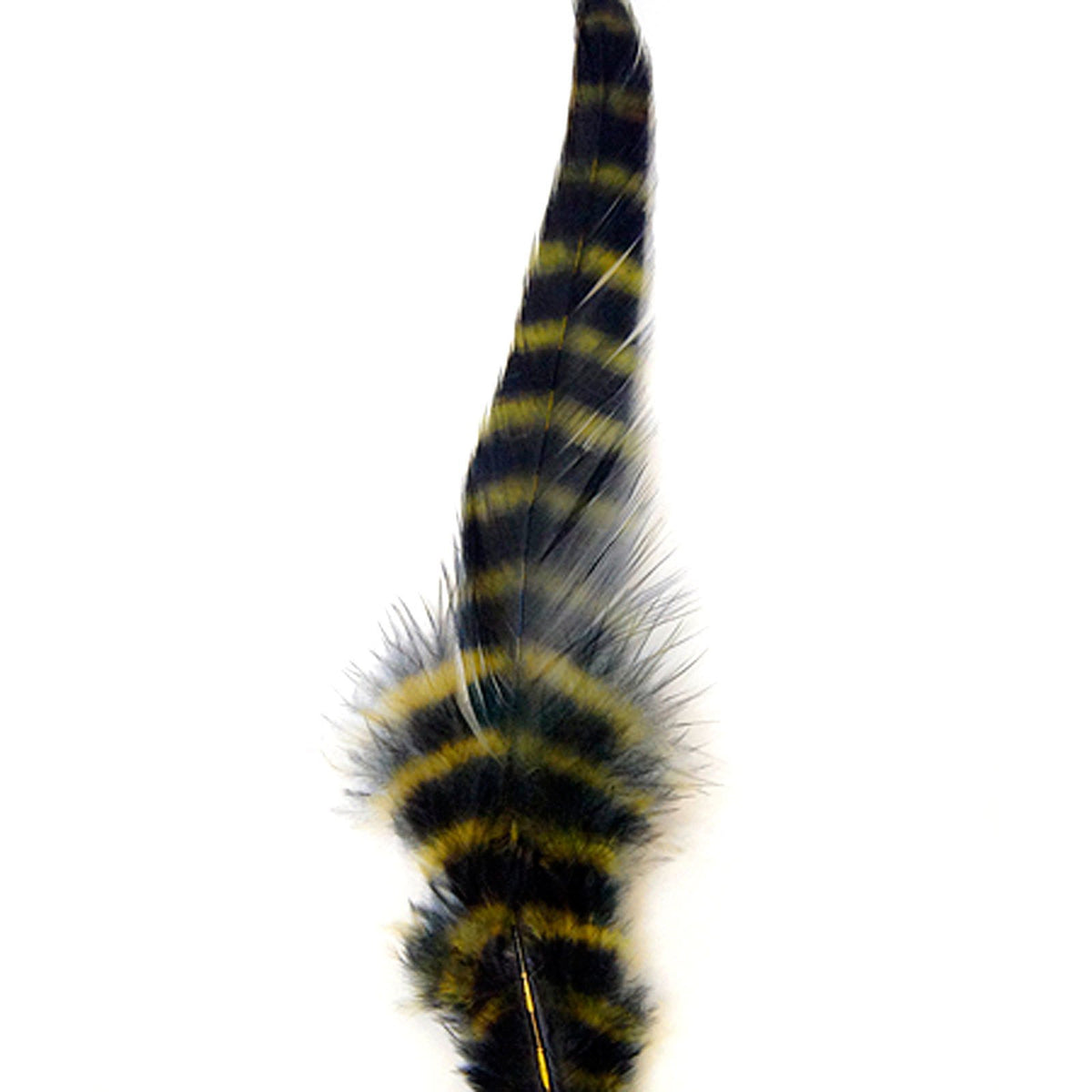 MFC barred schlappen feathers for dense, mottled streamer wraps