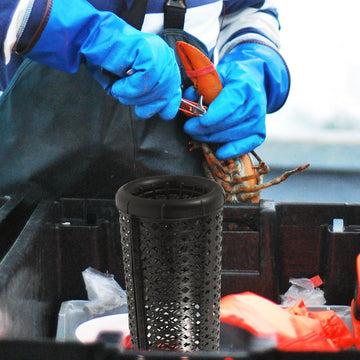 Portable Mikikit EEL trap in use