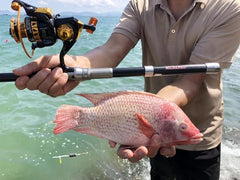 MILEXNKO telescopic rod collapsed for easy storage during travel.
