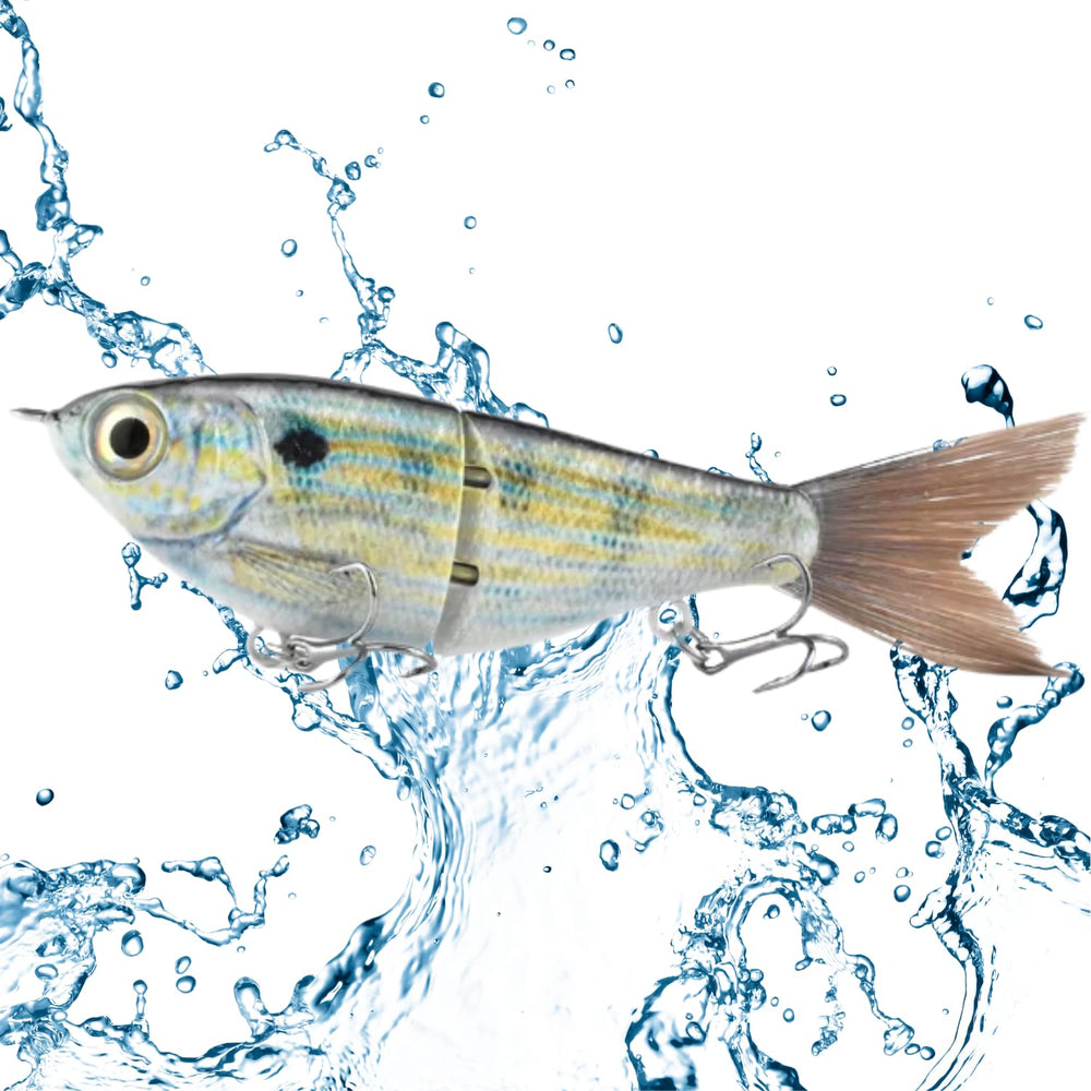 Mini Glide Bait for Bass and Snook - Pinfish pattern, front view