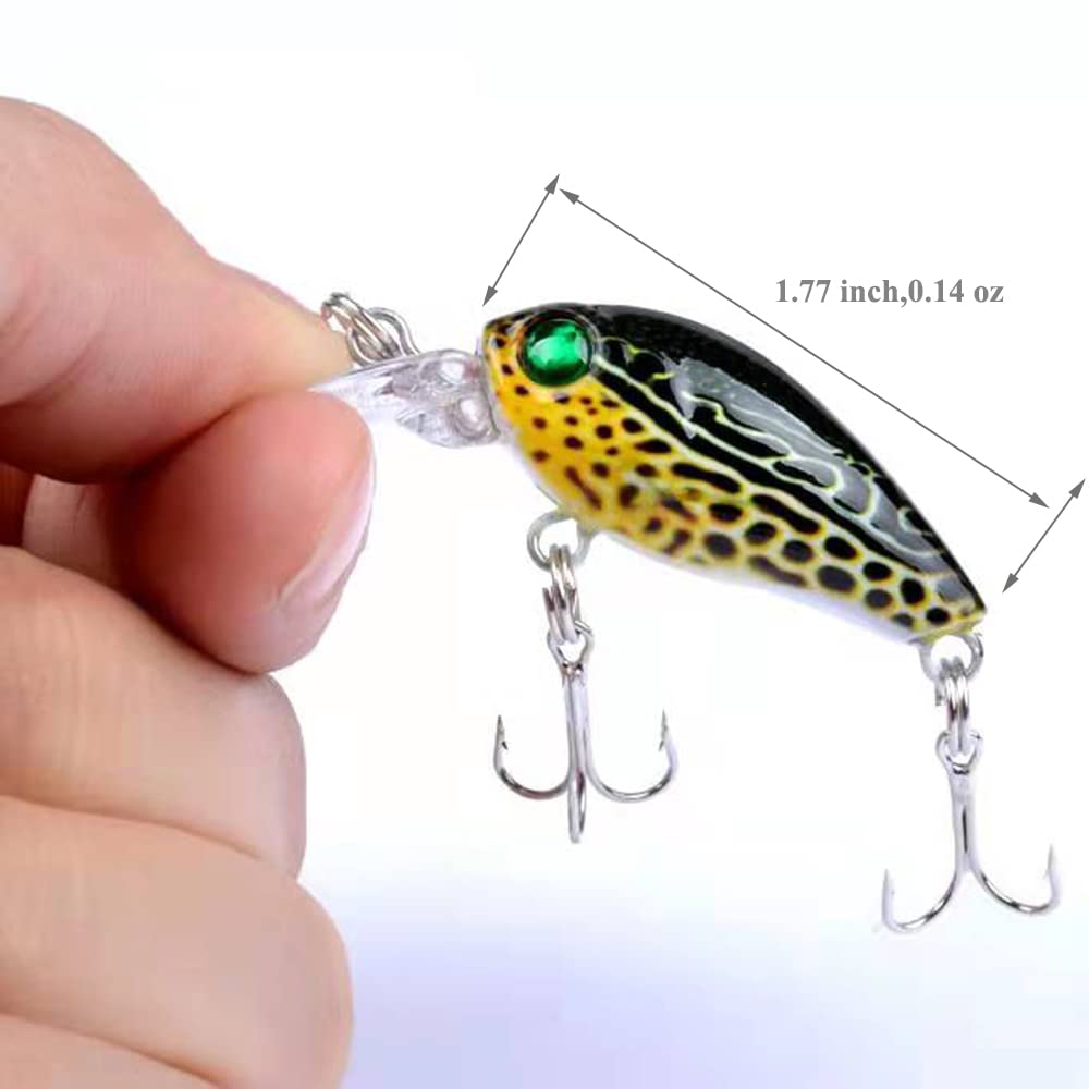 Close-up of lifelike painted Minnow Crankbait