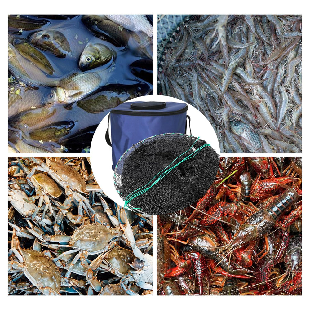 Suitable for freshwater and saltwater fishing; traps crabs, crawfish, shrimp, and small fish