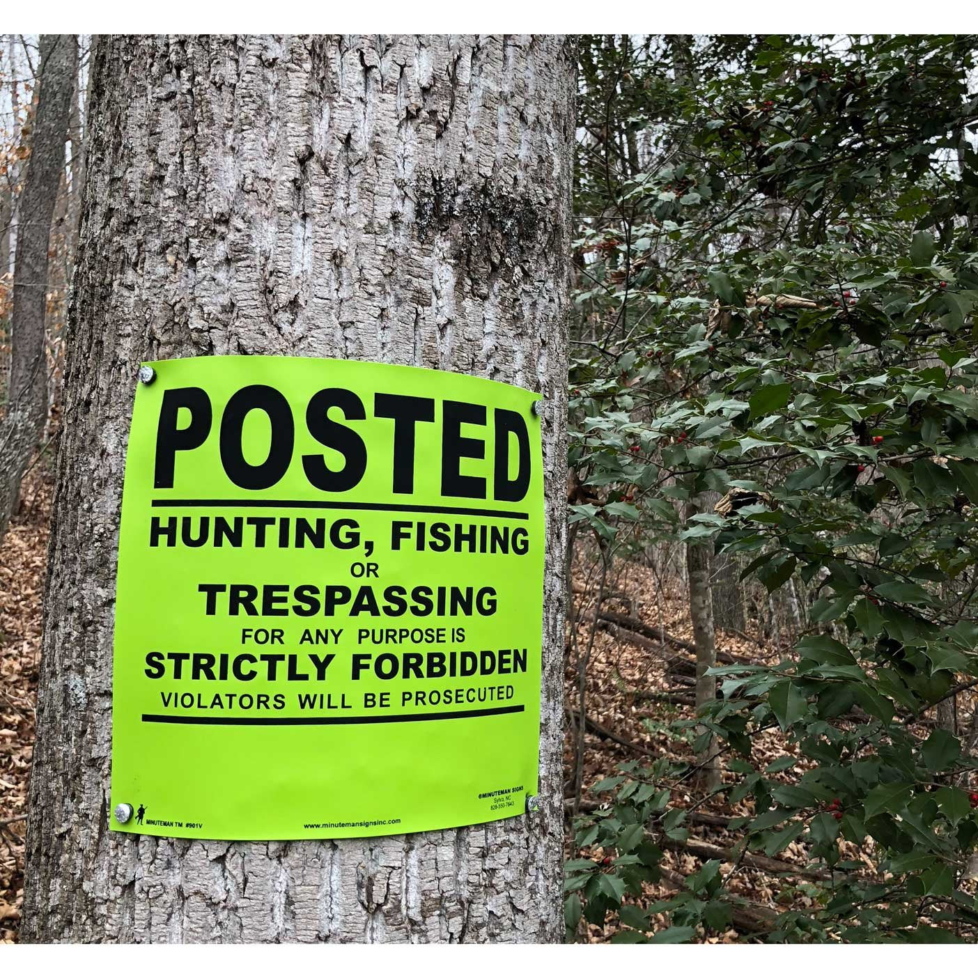 Minuteman Signs No Hunting roll sign graphic for property rules.