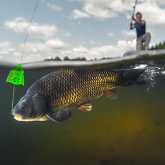 Close-up of lure inserts with ringing beads