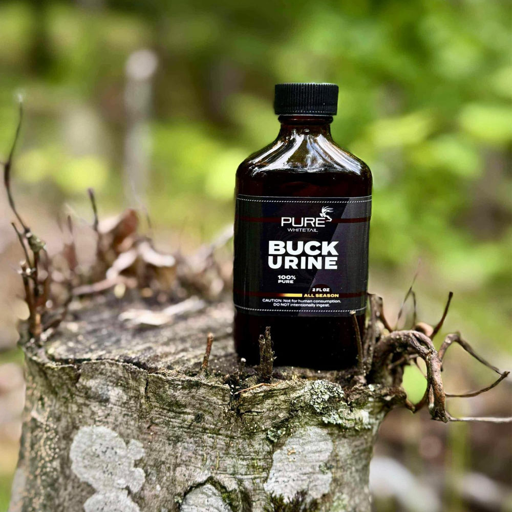 Mock scrape dripper filled with Pure Whitetail Buck Urine for consistent application