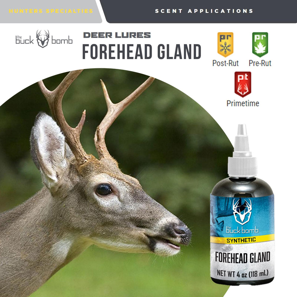 Scent lure used over scrapes for deer hunting