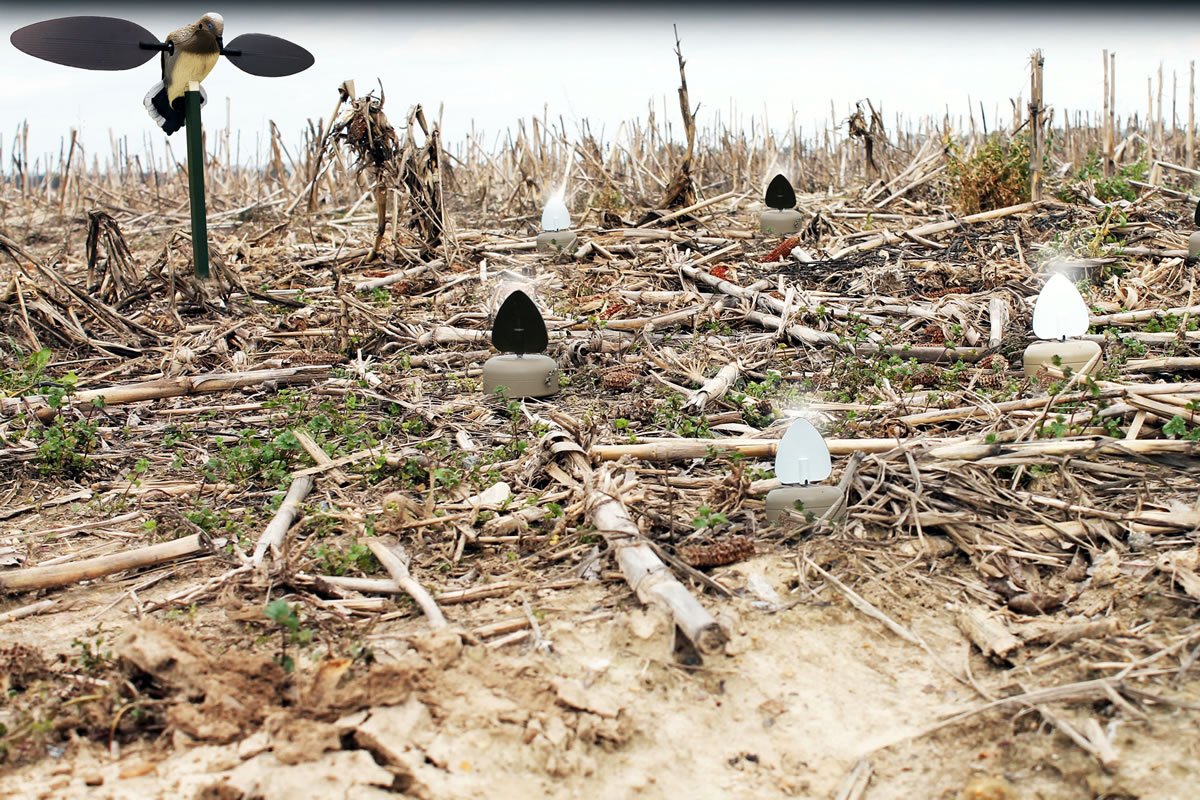 MOJO Dove-A-Flicker decoy set drawing doves from long range for better positioning.