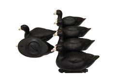 MOJO Outdoors Coot Confidence decoy in static pose boosts realism to entice wary ducks.