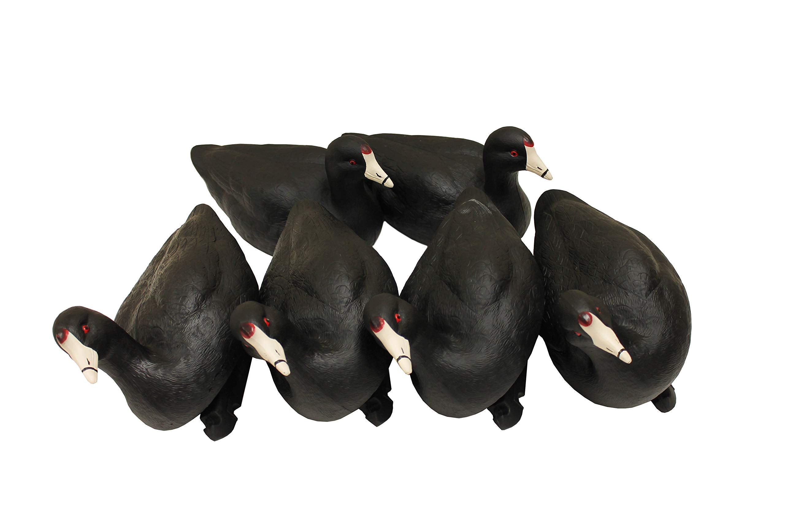 MOJO Outdoors Coot Confidence decoy array shows static coots in a natural spread.