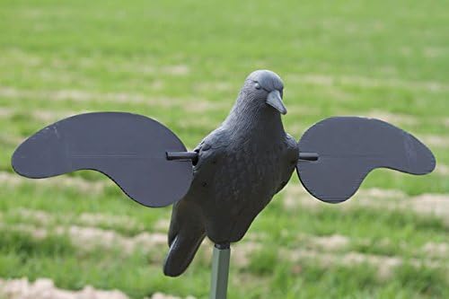 MOJO Outdoors Crow Decoy with 1.5s cycle highlighting realistic distress behavior.