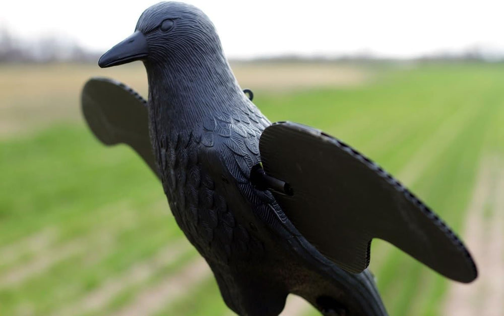 MOJO Outdoors Crow Decoy powered by 6 AA batteries for extended operation.