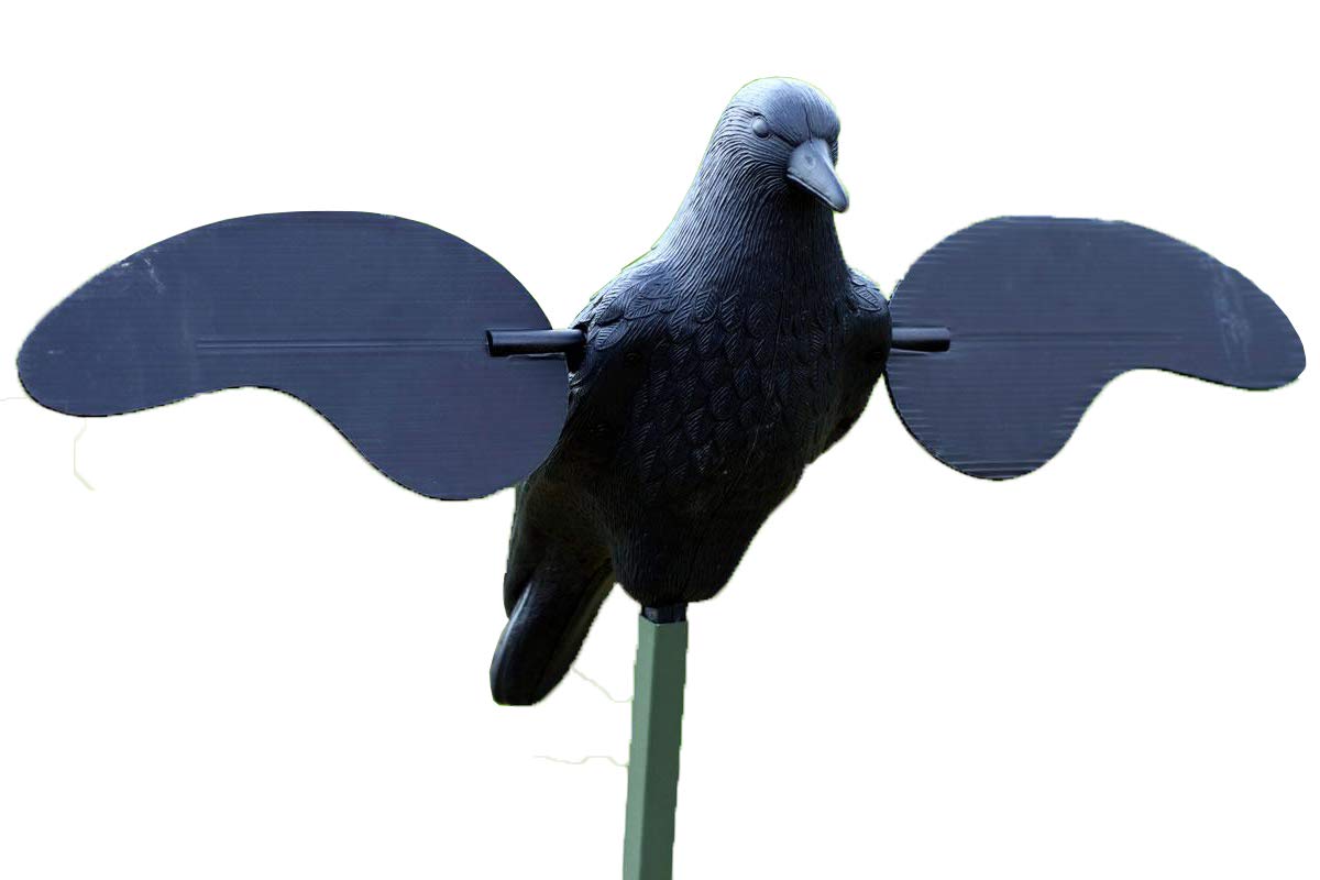 MOJO Outdoors Crow Decoy with magnetic wings ready for fast setup.