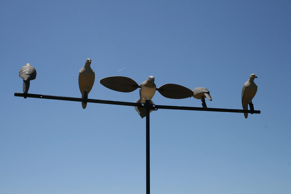 MOJO Outdoors dove decoy perched on a branch showcases secure clip-on setup.