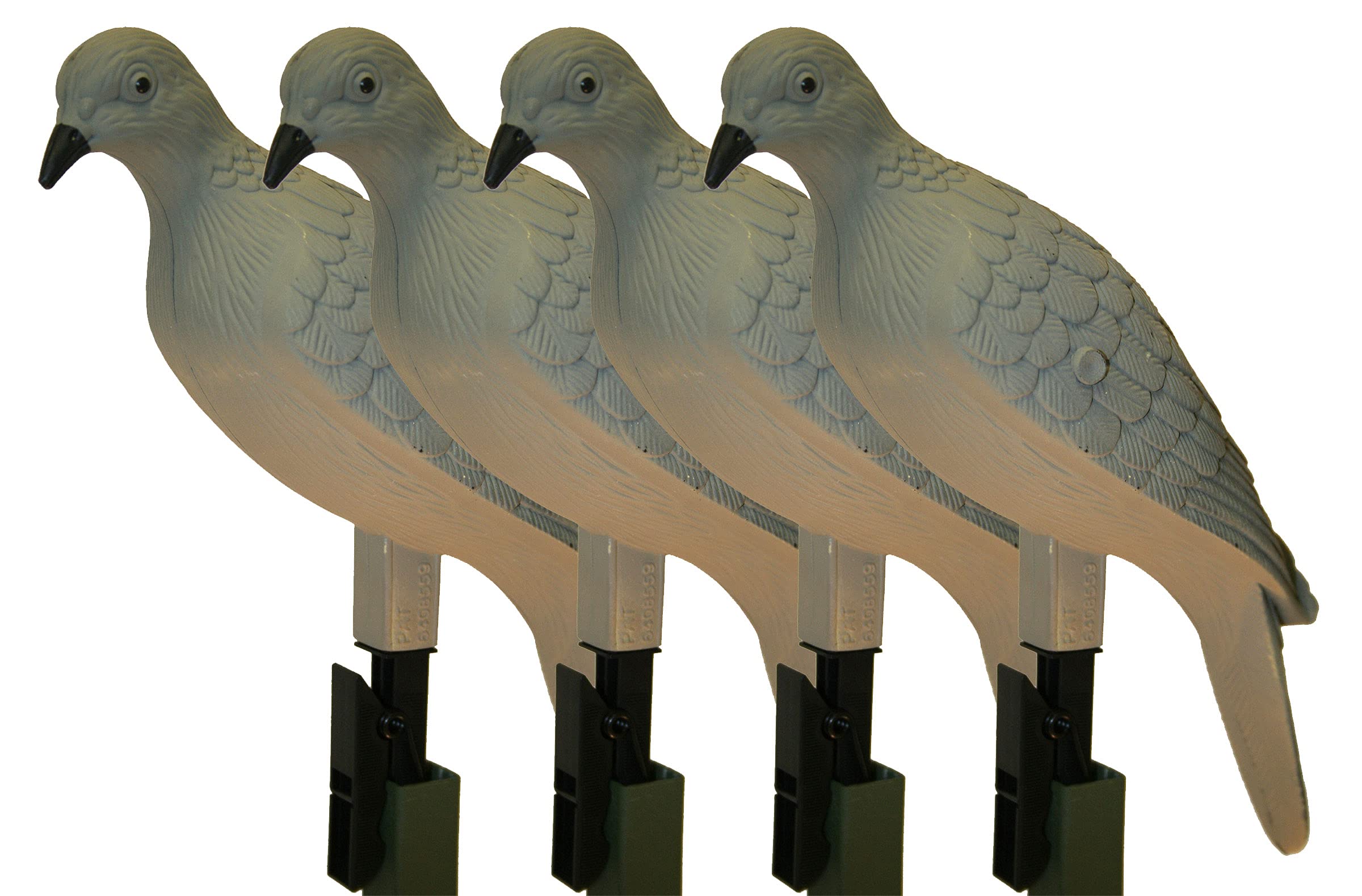 MOJO Outdoors dove decoy close-up showing realistic paint detail to attract birds at range.