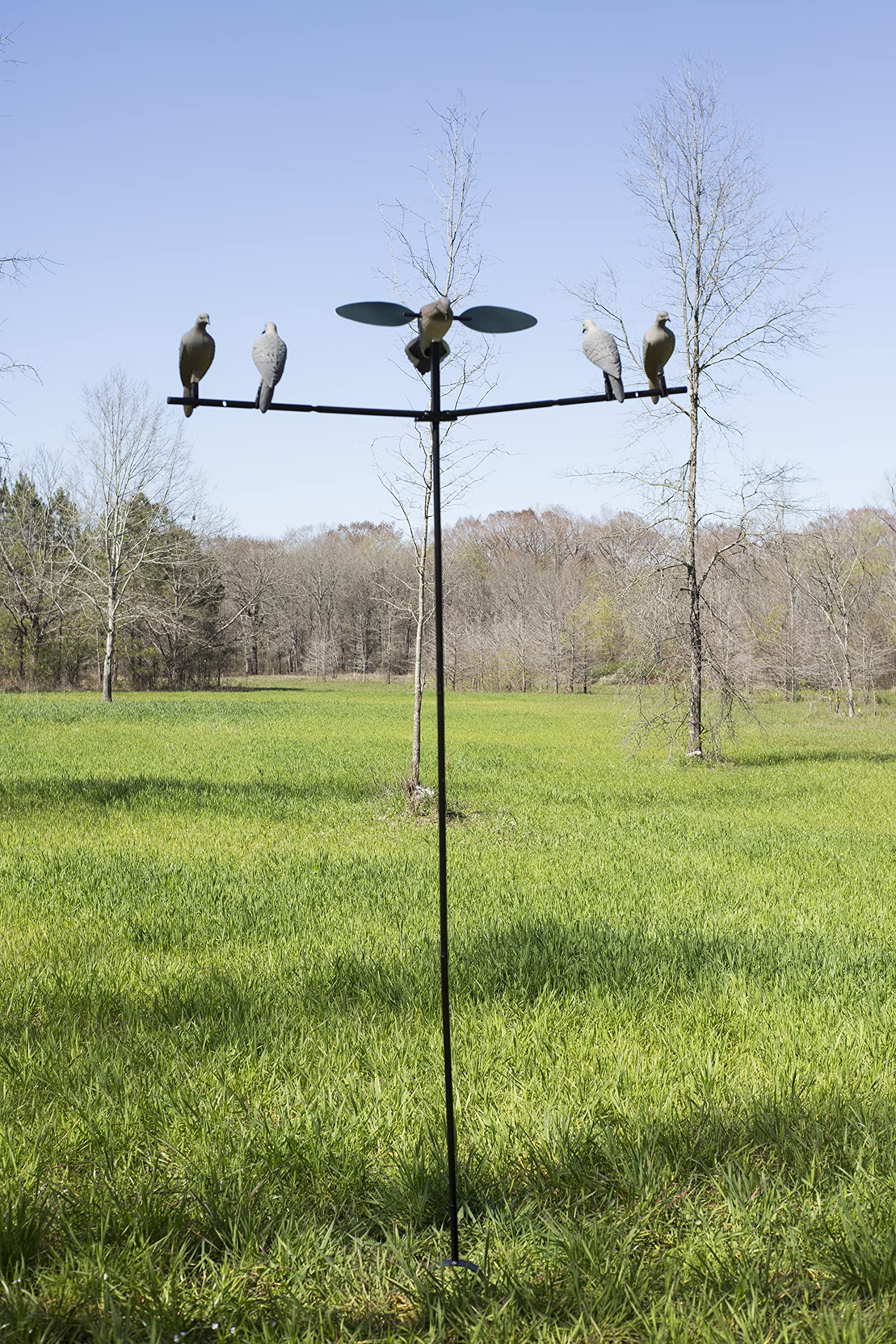 MOJO Outdoors dove decoy compatible with spinning-wing decoys to enhance movement.