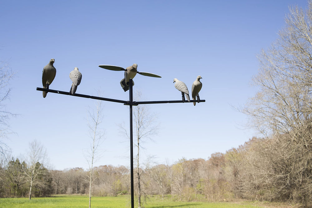 MOJO Outdoors four-pack dove decoys offers economical, ready-to-deploy spread.