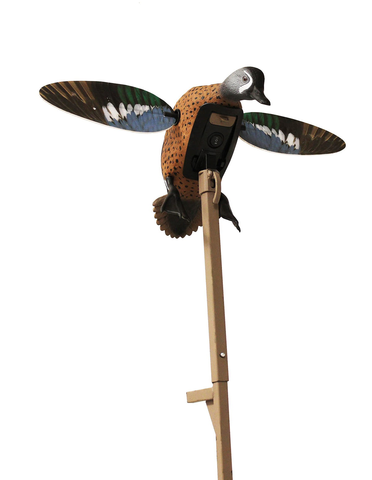MOJO Outdoors Elite Series Blue Wing Teal decoy front view with lifelike plumage for attracting waterfowl