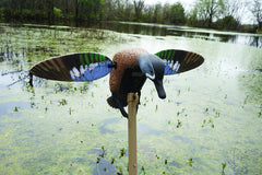 MOJO Outdoors Elite Series Blue Wing Teal decoy in action using realistic motion to draw ducks