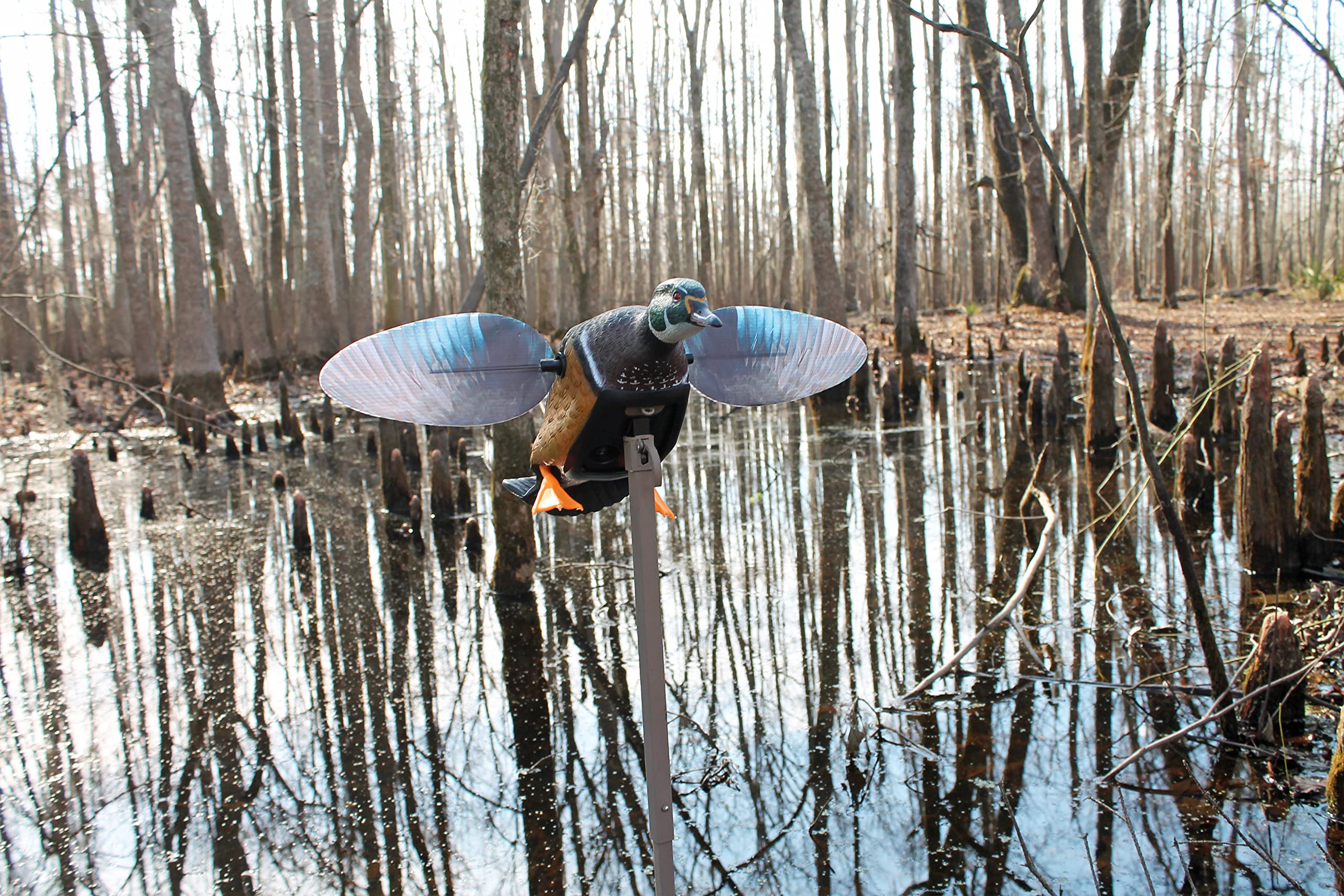 MOJO Outdoors Woody housing detaches for simple cleaning and maintenance