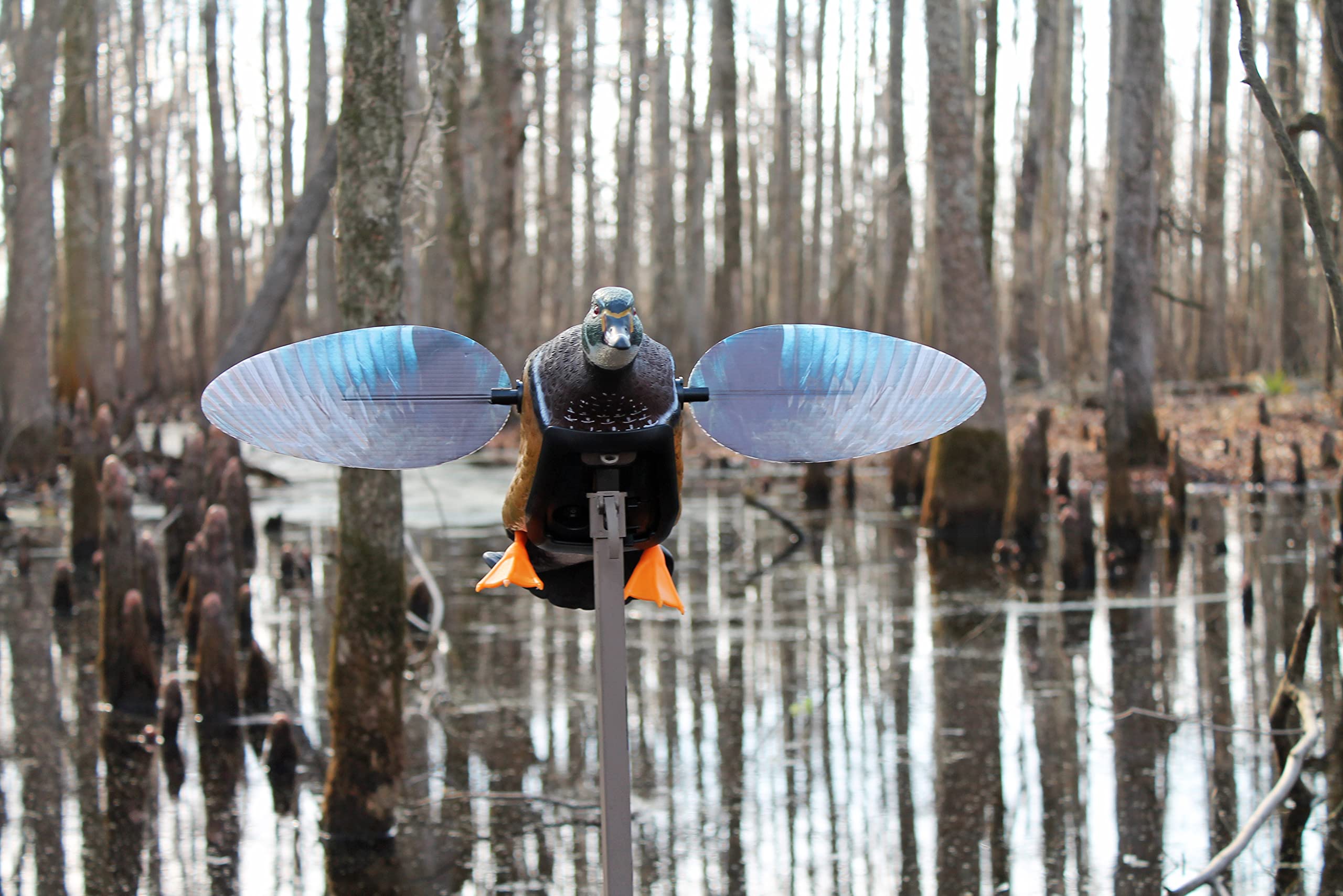 MOJO Outdoors Woody decoy with magnetic wings simplifies on/off operation