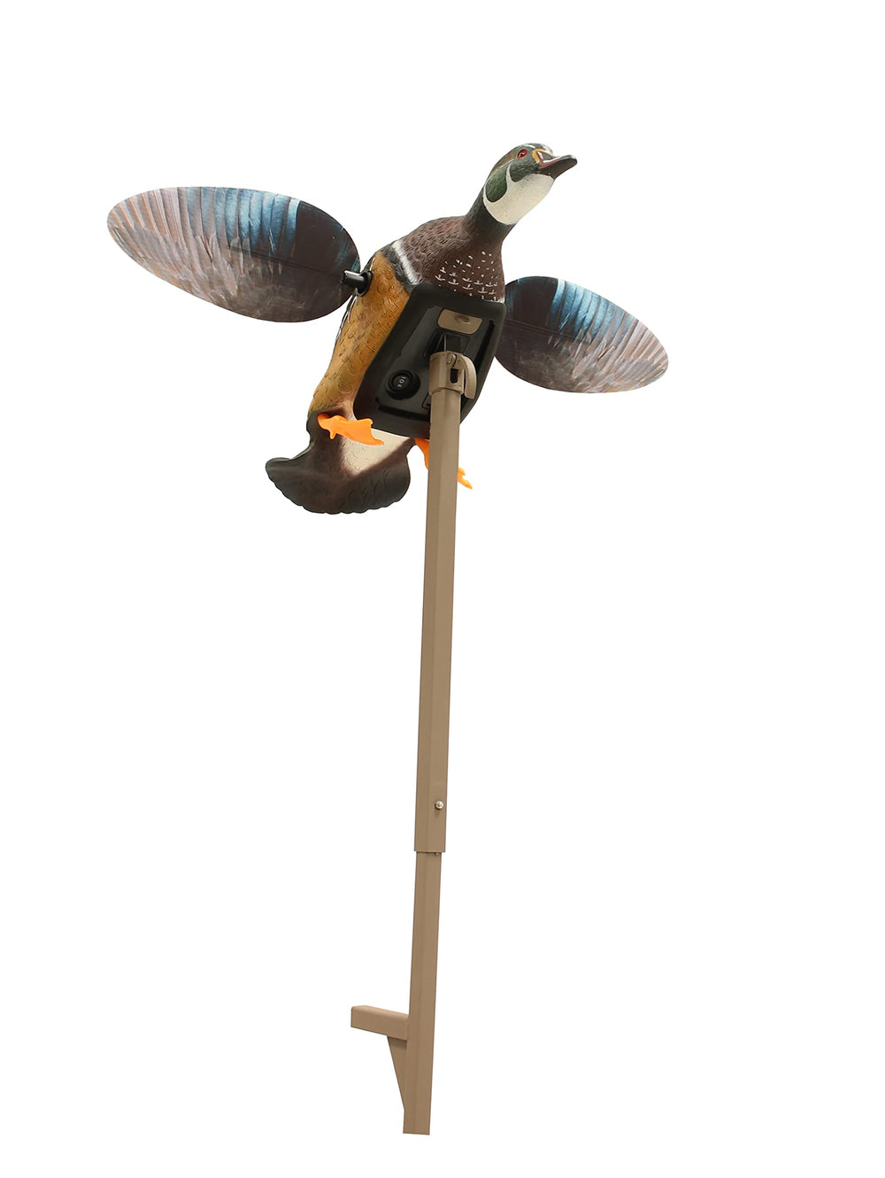 MOJO Outdoors Woody decoy features realistic feather detail for lifelike attraction