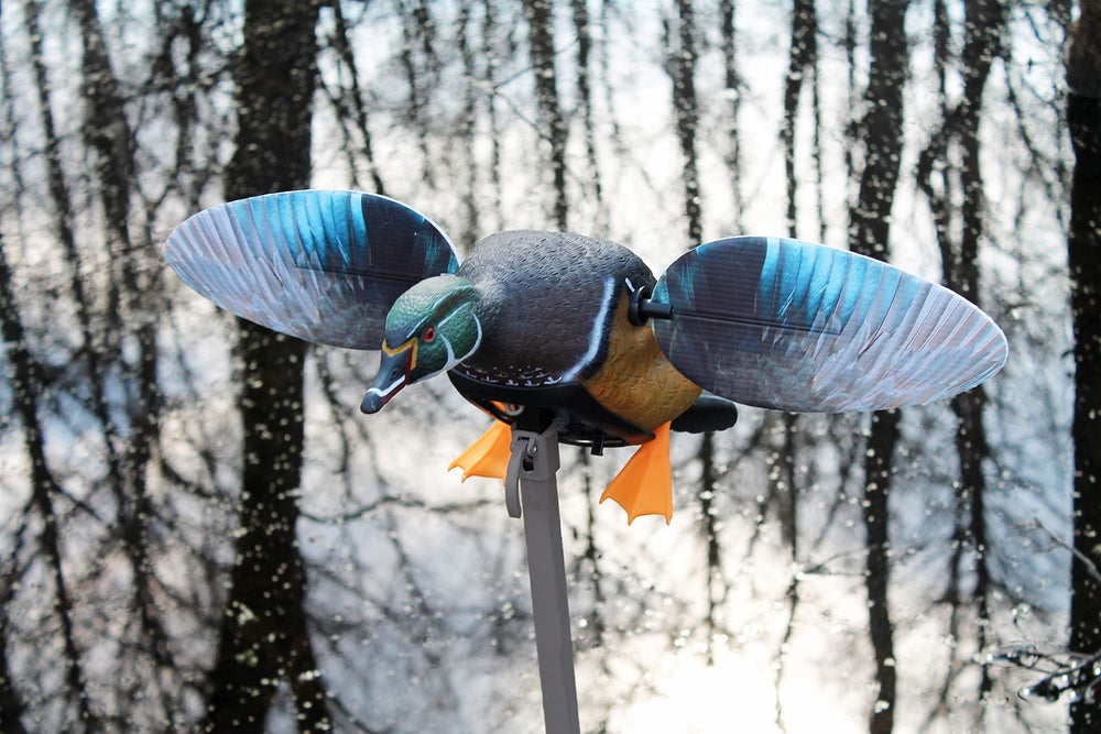 MOJO Outdoors Elite Woody decoy skin showcases true color for convincing field presence