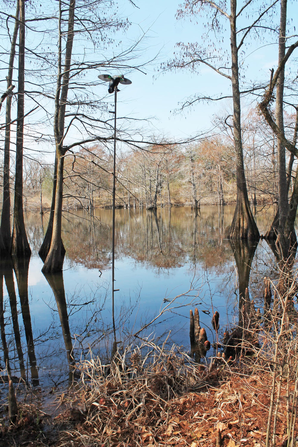 MOJO Outdoors extension pole lets you position decoys at different heights for a natural look