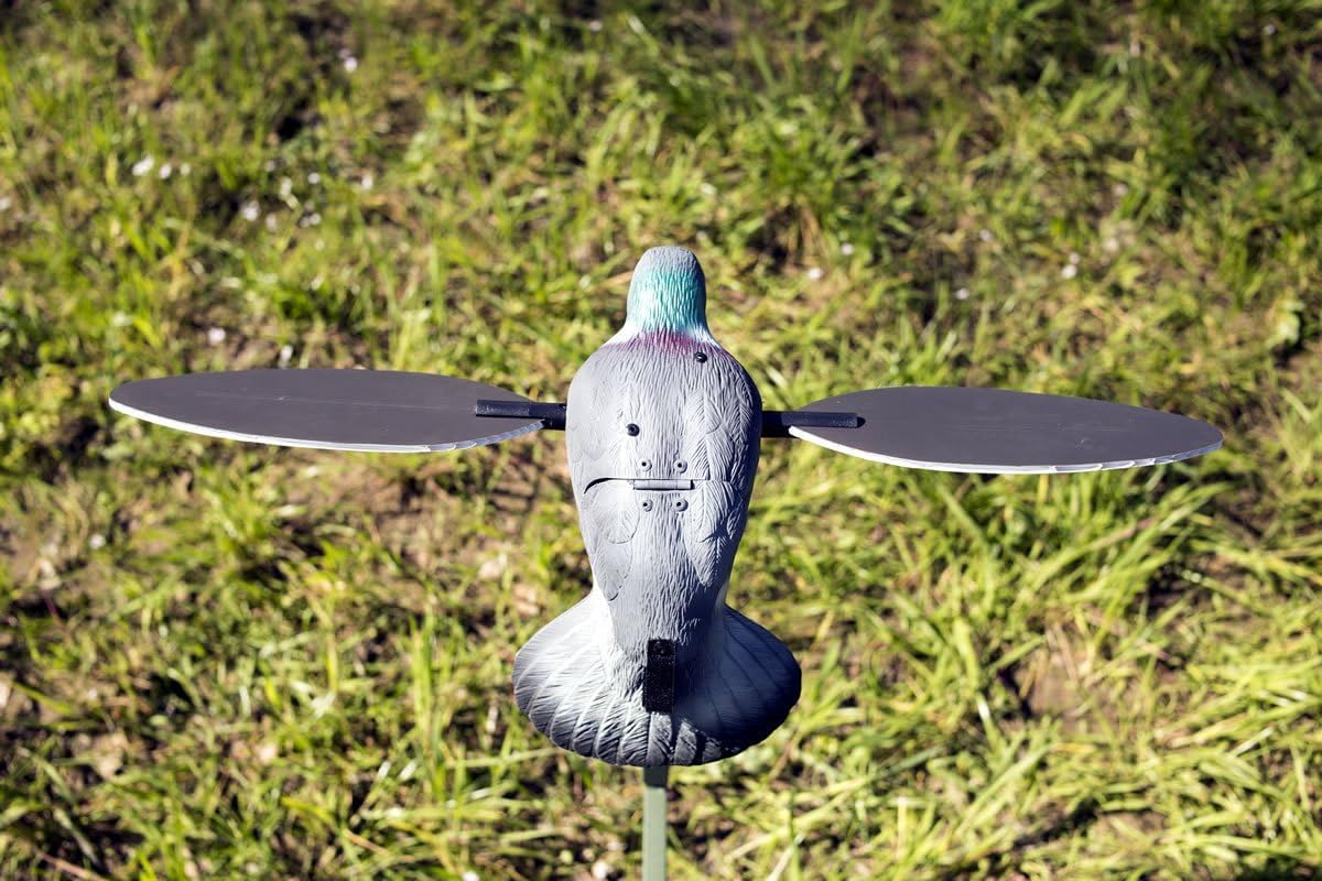 MOJO Outdoors full-body pigeon decoy spread in open field for realism